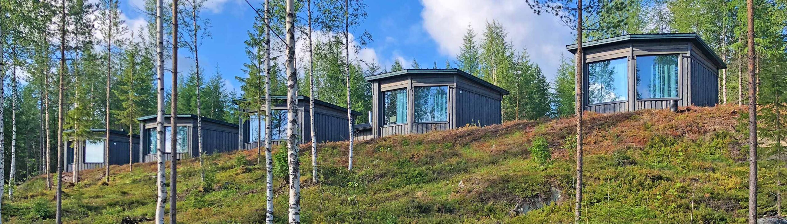 Are Finland’s Luxury Bear Watching Cabins Safe?