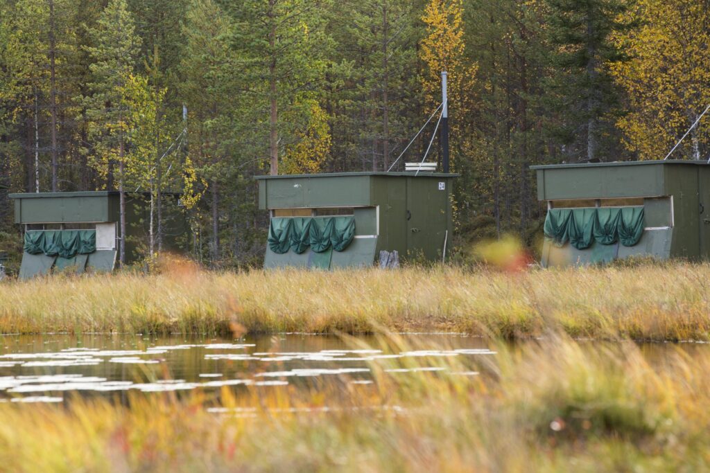 Bear photography hides in Finland