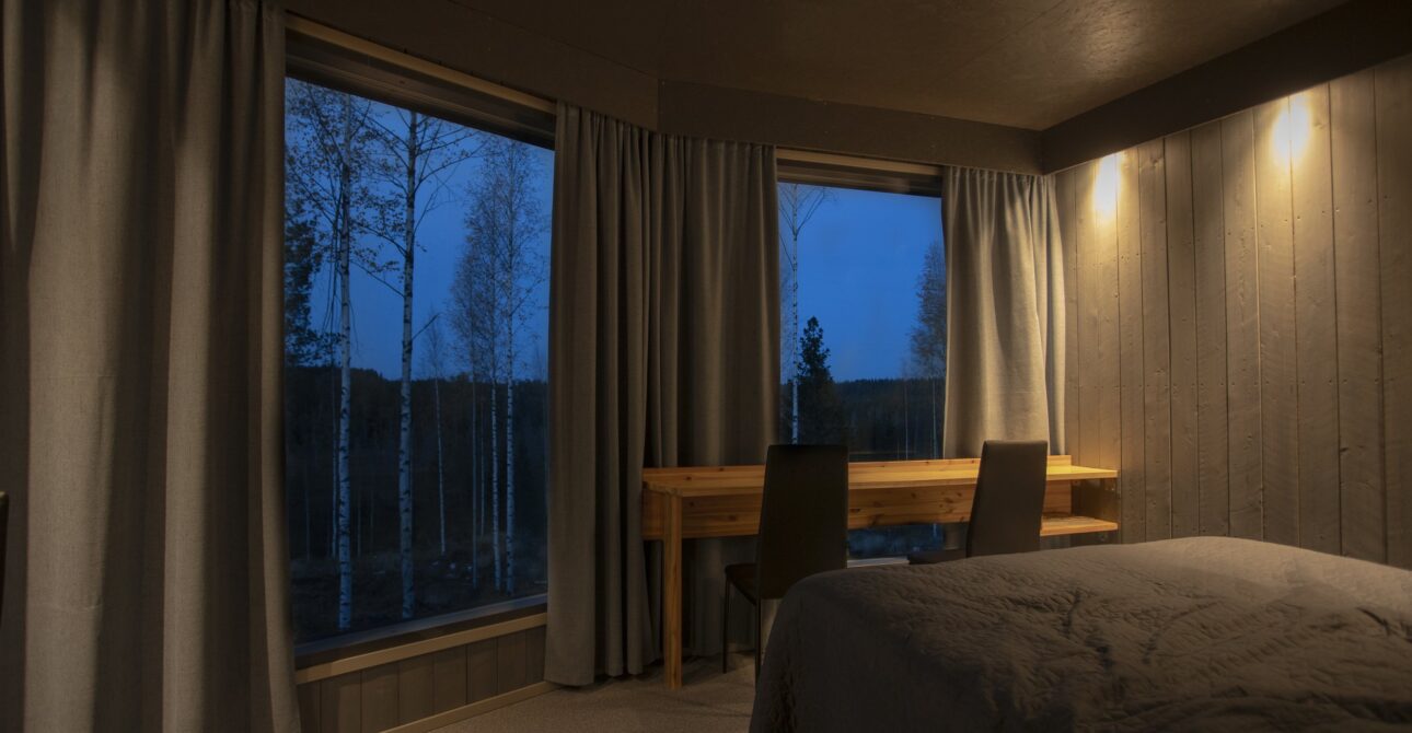 What Happens During a Night in a Finland Bear Watching Cabin?