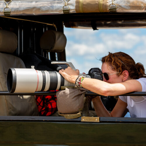 Wildlife photographer taking pictures of animals during a safari from an open jeep using a telephoto camera lens.