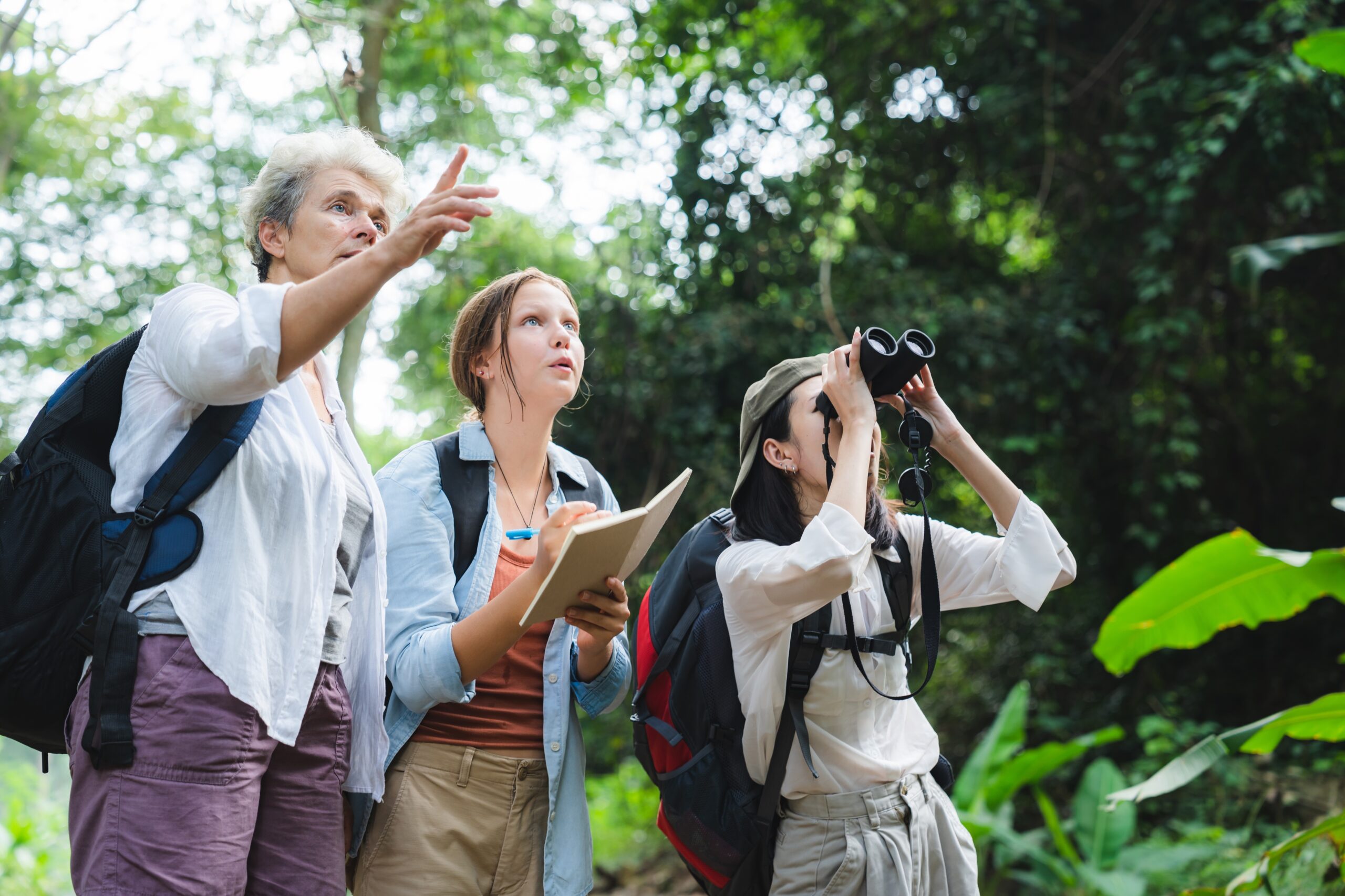 Wildlife tour guide
