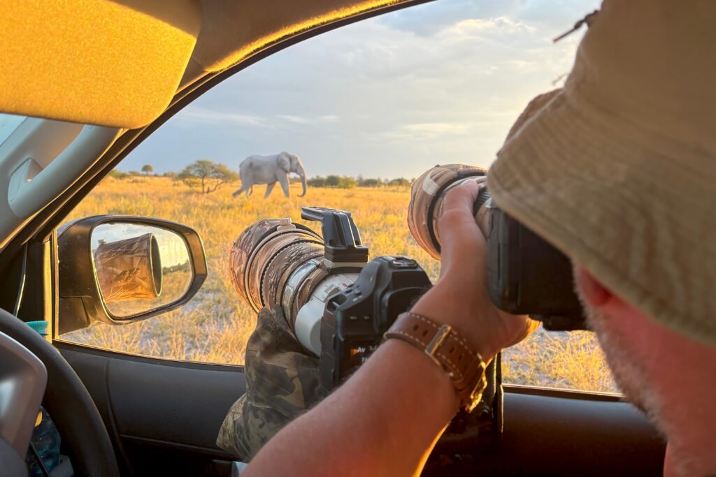 Wildlife Photographer