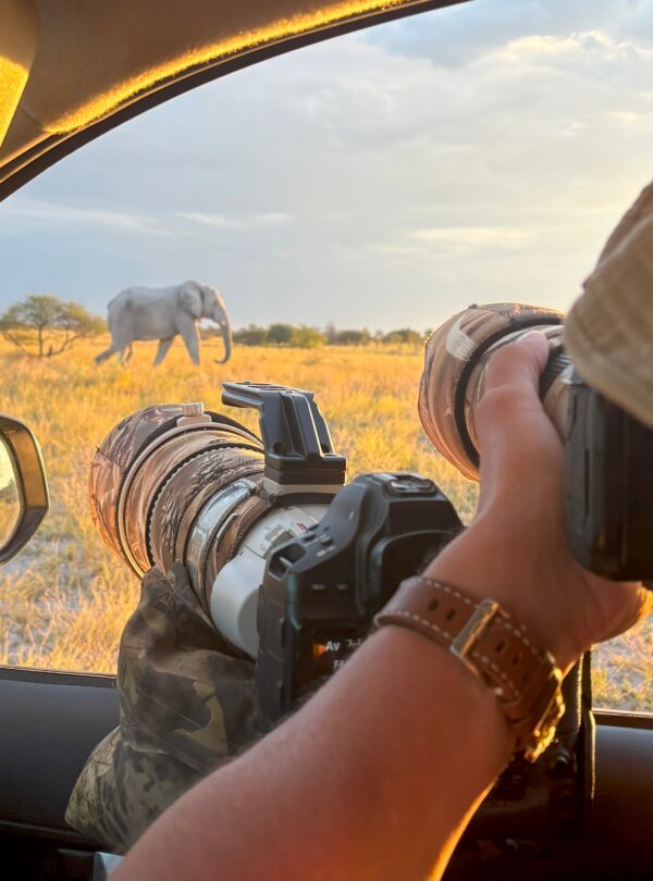 Wildlife Photographer