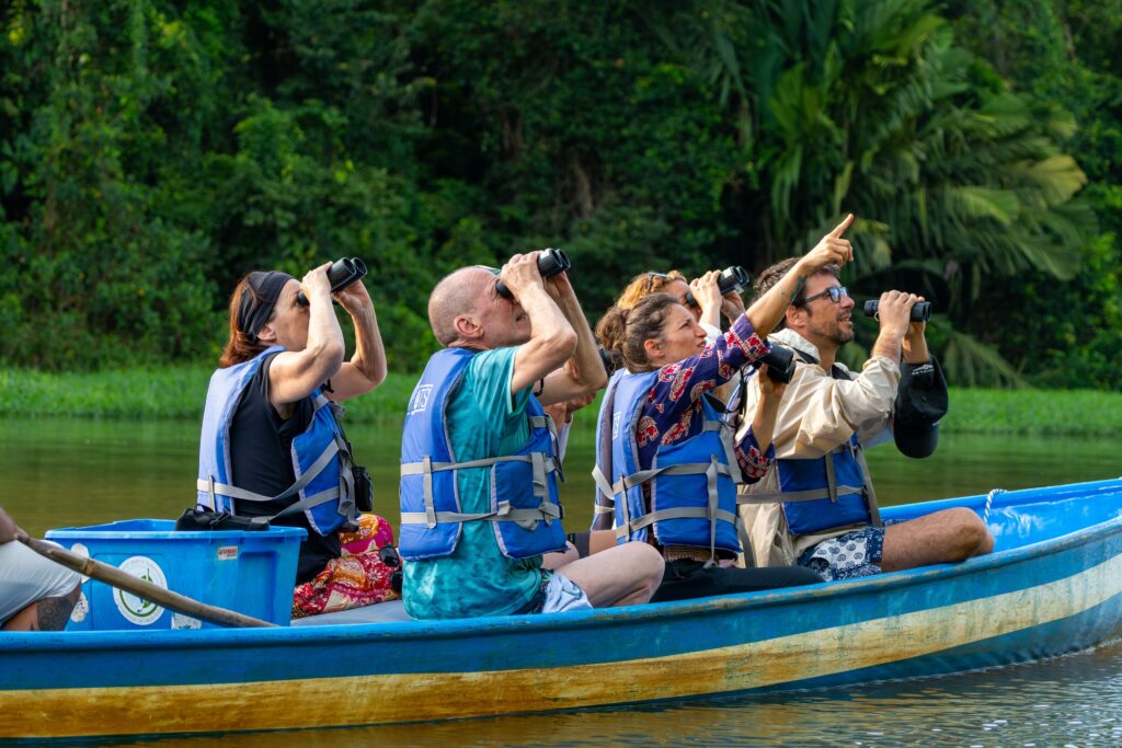 Group of people watching wildlife
