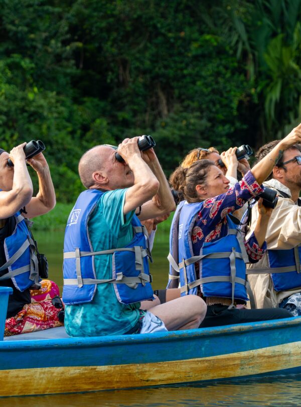 Group of people watching wildlife