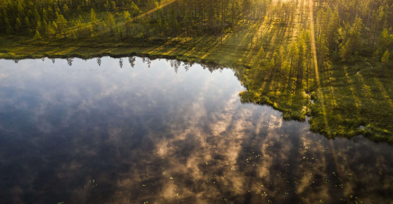 Why Is Finnish Air So Clean?