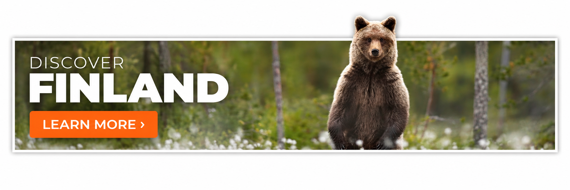Discover Finland Blog Placement Image